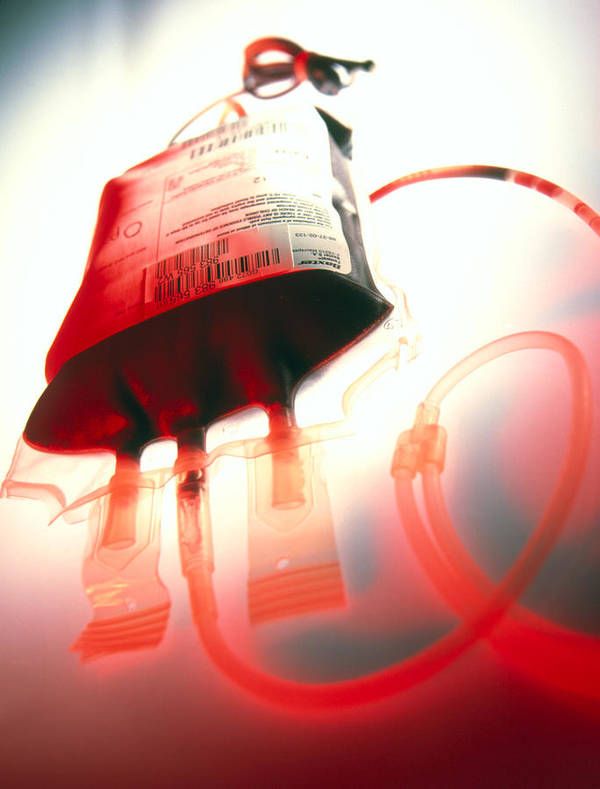 The Blood Donation Process: What to Expect